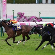 【祝】桜の女王ステレンボッシュ！２歳女王へ逆襲成功！