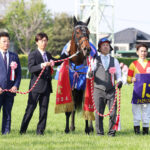 中山のG1レースで熱戦!ジャスティンミラノが圧倒的な力を見せる