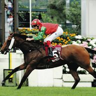 香港チャンピオンズデーG1で地元馬が3連勝！