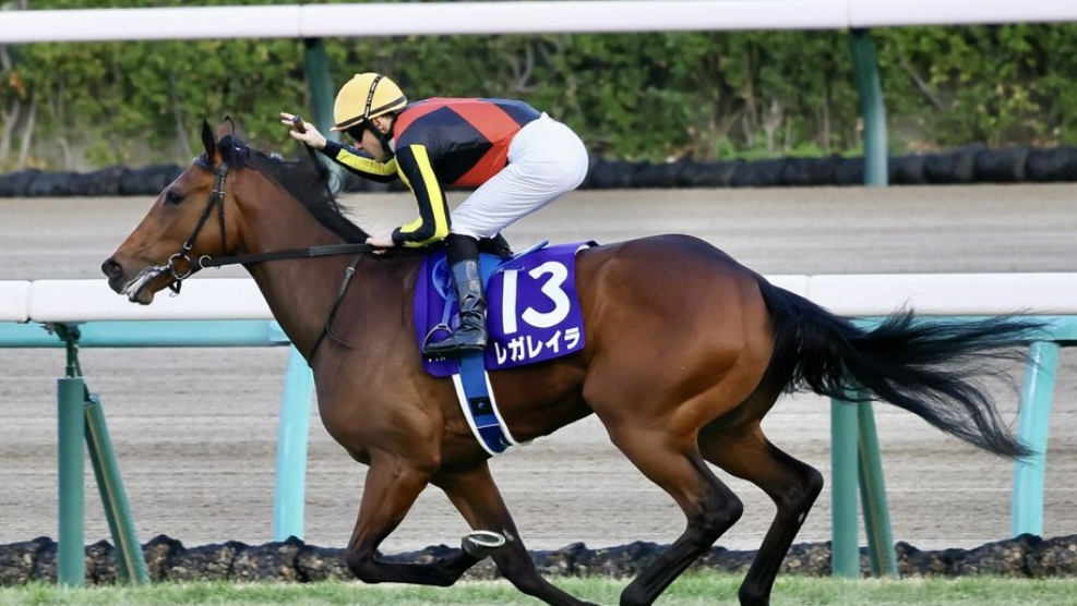 【注目！】牡馬クラシック1冠目　皐月賞 2024特集