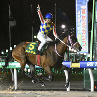 【かしわ記念】シャマルが他馬を寄せ付けず、逃げ切りで快勝を収める