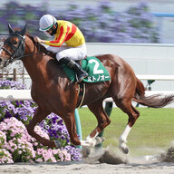 ミトノオーが逃げ切り勝利！松山騎手の好騎乗が光る