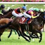【目黒記念】シュトルーヴェ、末脚で問答無用の勝利!日経賞に続く3連勝を達成!