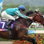【安田記念】香港の強豪馬ロマンチックウォリアーが安田記念で圧倒的な勝利を収める!